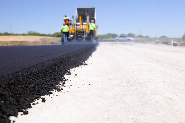 Best Local Driveway Pavers  in Wild Peach Village, TX